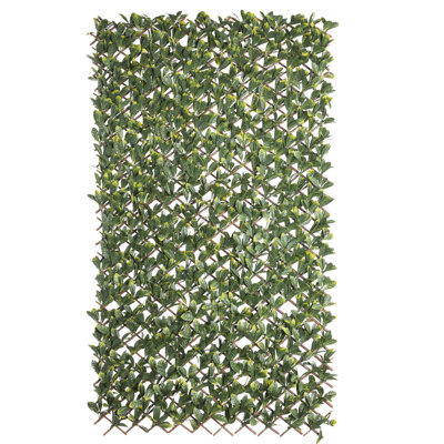 Madchen 200cm H x 100cm W Vinyl Expanding Trellis