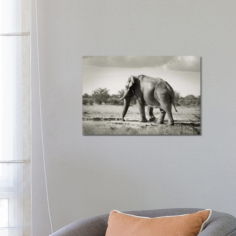 B&W Solitary Elephant 1 Piece Wrapped Canvas Wall Art, 66.04 cm H x 45.72 cm W x 1.91 cm D