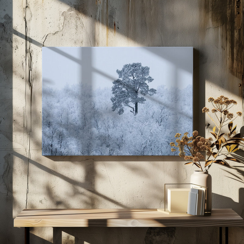 Wrapped Canvas Print