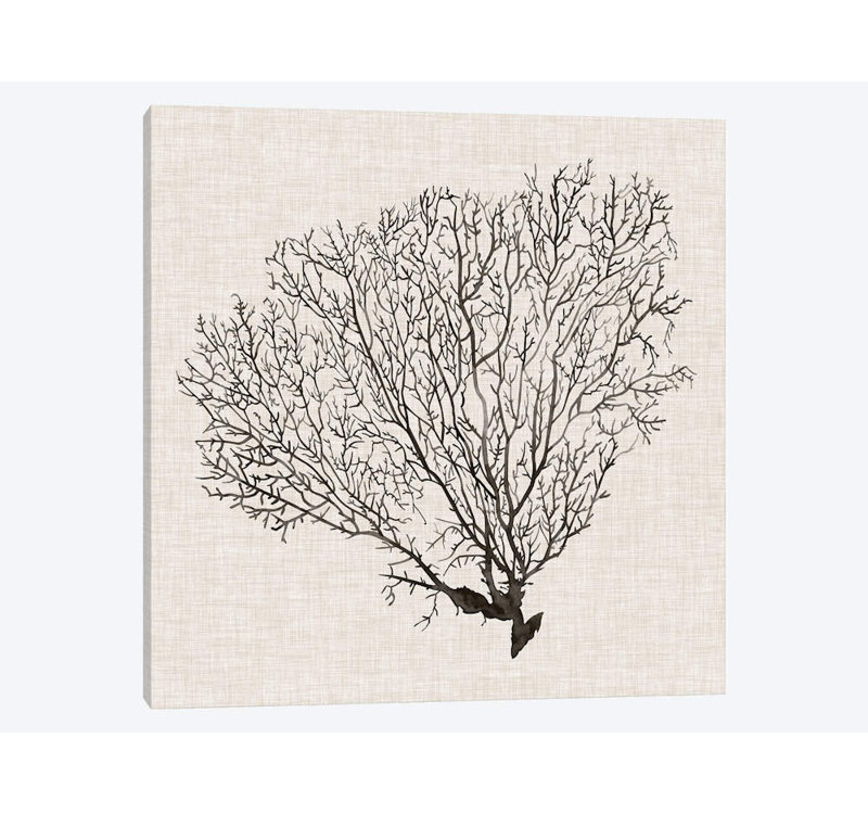 « shadow sea fan iv », impression sur toile, H 18 po x l 18 po x P 1,5 po