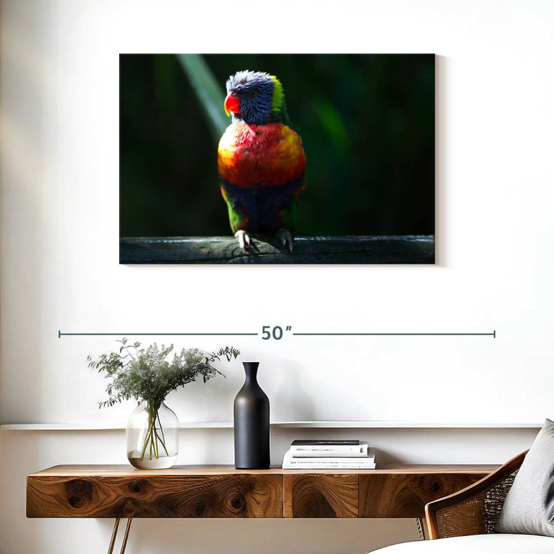Brampt Sunlit Rainbow Lorikeet, 24" H x 36" W