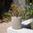 Veradek Demi Series 6" Planter-87809719-87893443
