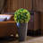 15 Inch 2 Pcs Green Boxwood Artificial Topiary