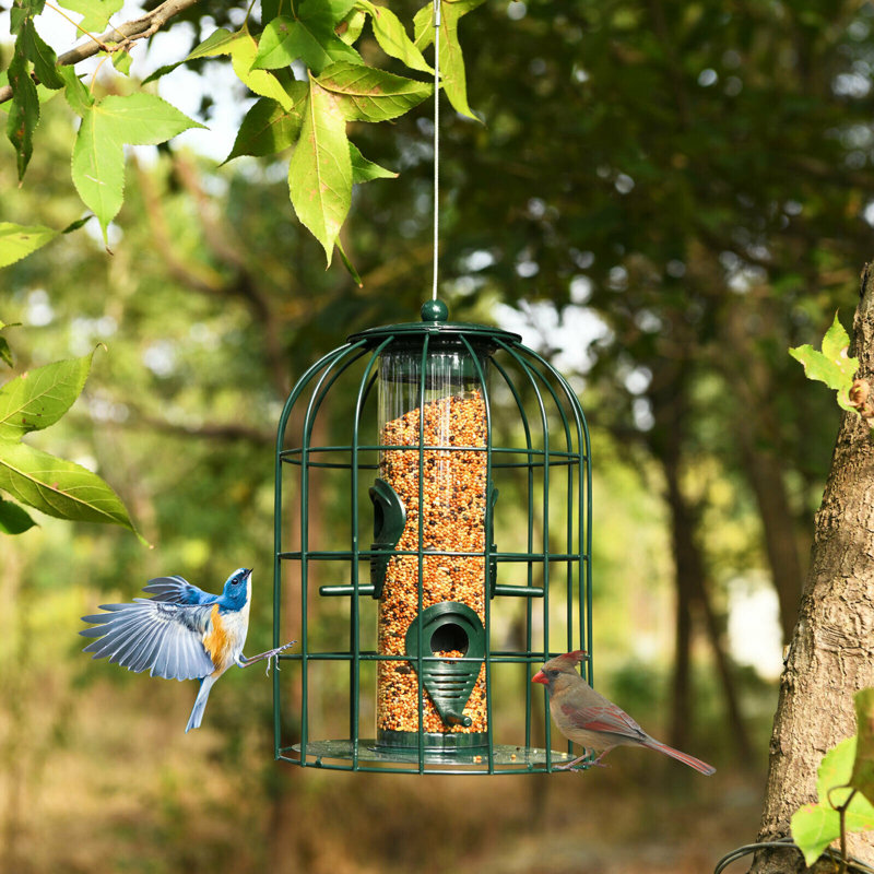 Mangeoire d'oiseaux Karle Tube