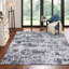 Area Rug-1319384259-1248264844