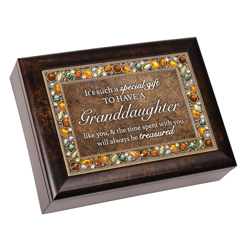 Plastic Memory Box