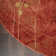 Tapis à motif floral rouge flamme / brun Arnim