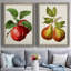 Antique Fruit X - ensemble de 2 reproductions d'art sur toile-189582297-189582298
