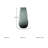Chandani Glass Table Vase-96517747-122059692