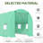 Walk-In Tunnel Greenhouse, Outdoor Green House With Anti-Tear PE Cover, Zipper Doors And Mesh Windows-113767459-113767462
