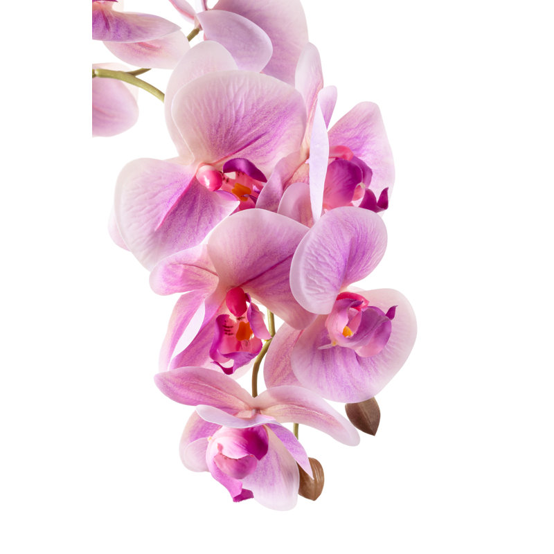 Abigail Gold Realtouch Orchid, Periwinkle