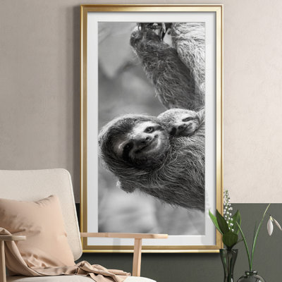 Sloth Swing - Photographie avec cadre photo