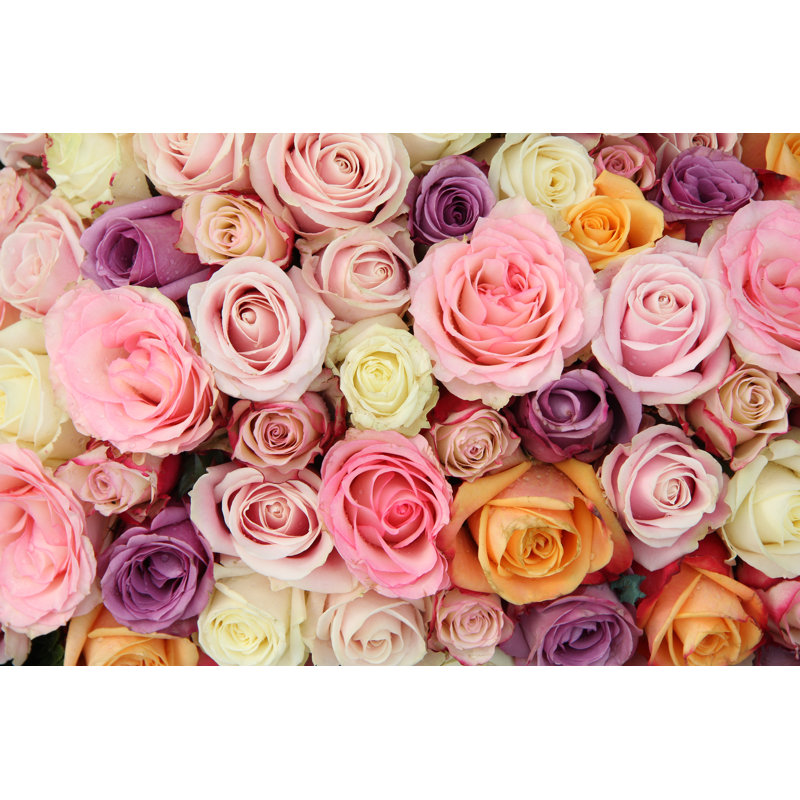 Norcatur Bridal Flowers - Wrapped Canvas Print, 81cm H x 122cm W x 3.8cm D