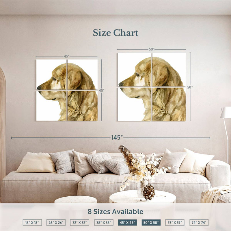 Brampt Pet Profile I, H 45 po x l 45 po