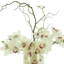 Orchid Arrangement in Glass Vase with Rocks-150529542