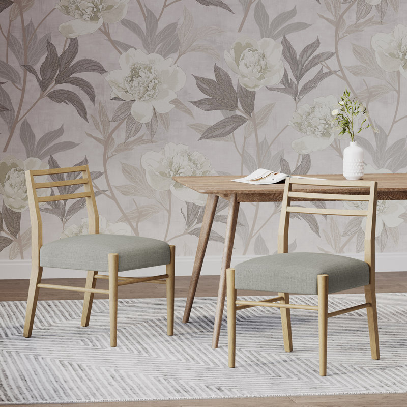 Chaise de salle à manger de conception contemporaine, chaises de salle à manger rembourrées, chaise de cuisine