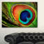 «Peacock Feather», impression-35124960-35124968