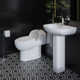 Château One-Piece Elongated Dual-Flush Toilet 1.1/1.6 gpf