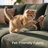 Brunella Corduroy Sleeper Sectional-1503454834