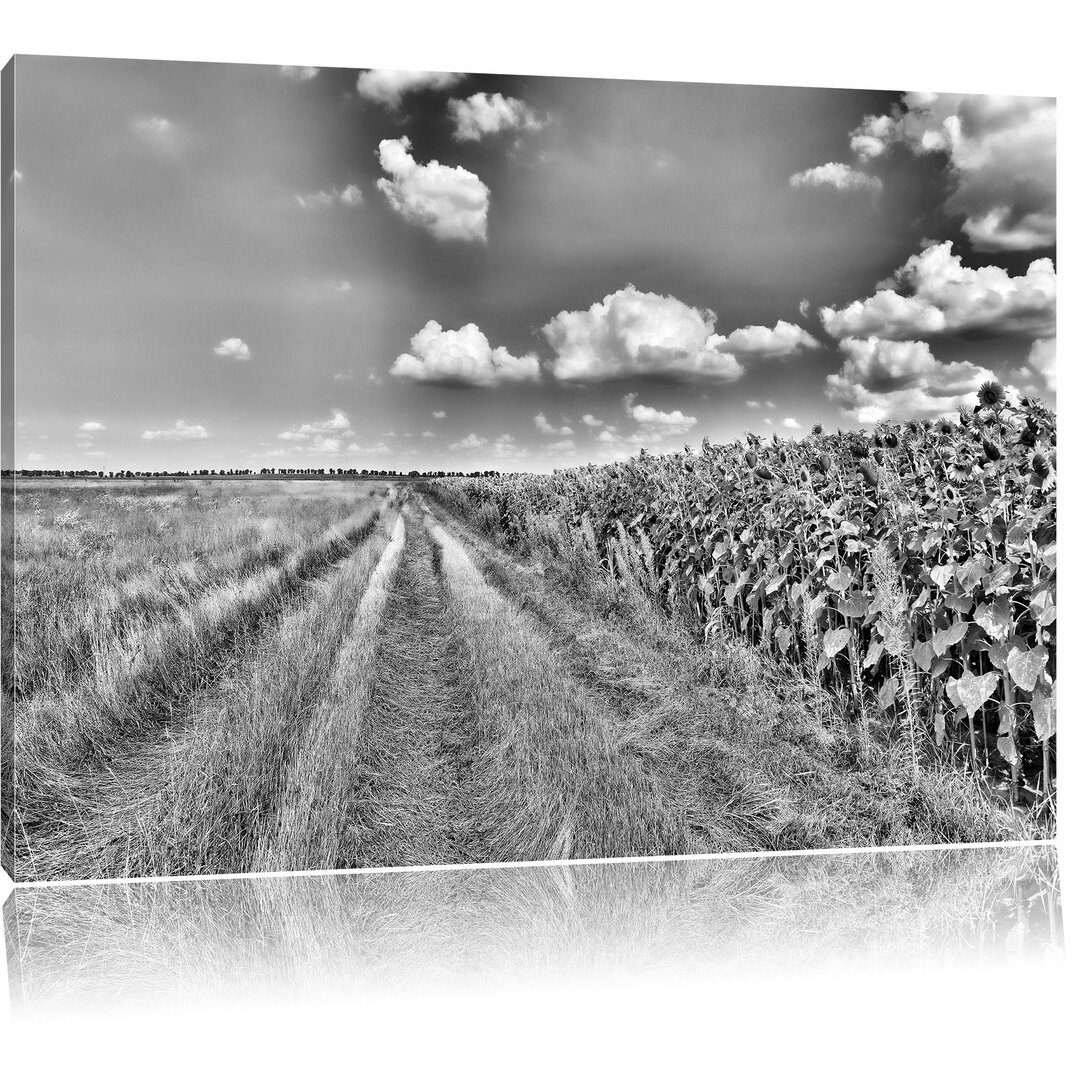 Leinwandbild Feldweg am Wald in Monochrom