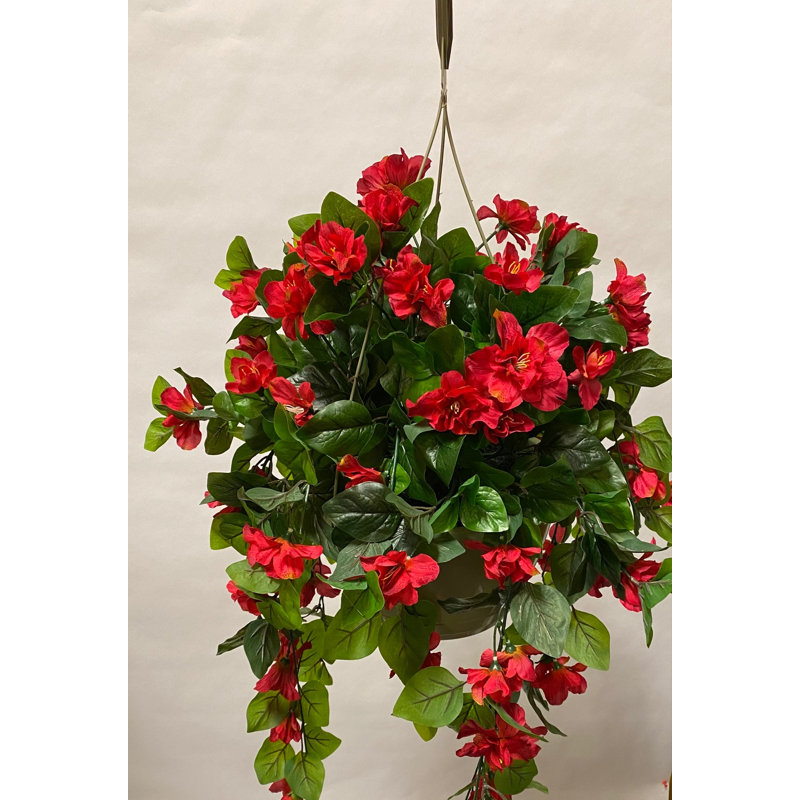 Panier à fleurs en géranium Azalea