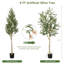 Arbre d'olivier 71,5 po