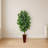 Ficus Artificial Tree in Bamboo Planter