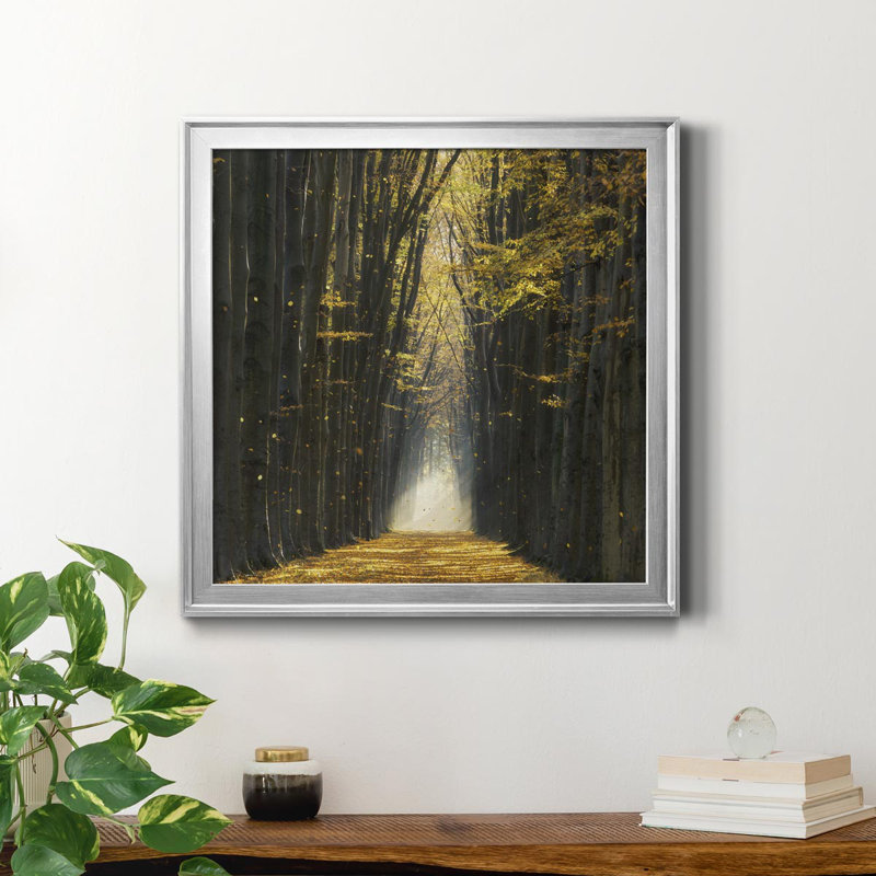 «Fall Kicks In», reproduction de photo sur toile encadrée, H 30,5 po x l 30,5 po x P 1,5 po, Argent
