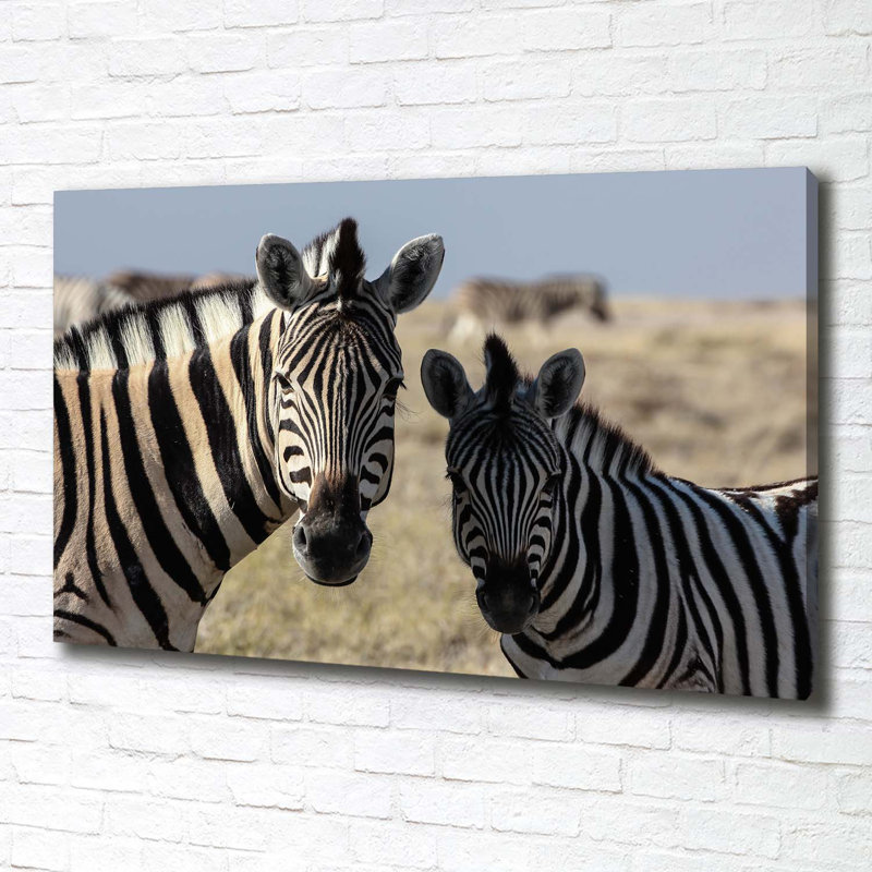 Two Zebras - Wrapped Canvas Print
