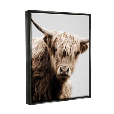 «Wooly Bovins», impression sur toile par Danita Delimont