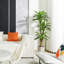 Adcock Artificial Dracaena Tree in Pot-737176448