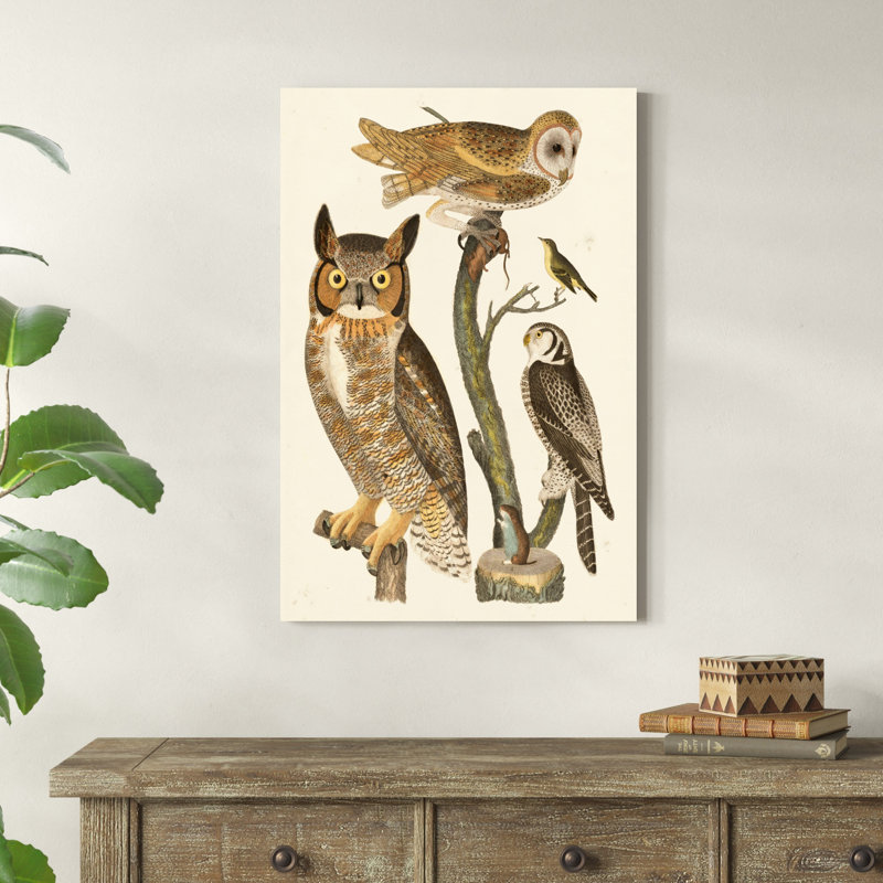 Wilson Owls I, H 12 po x l 8 po x P 1 po