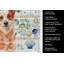 Serviette de cuisine Red Heeler-1209194495
