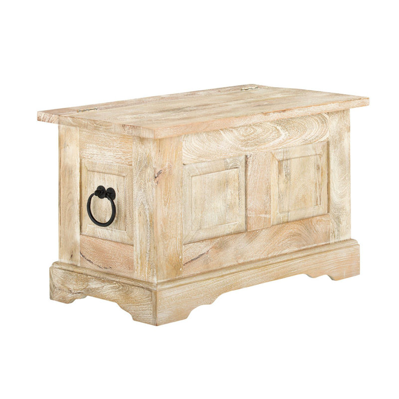 Deandre Blanket Chest
