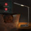 Lampe de bureau 17,2 po argent USB