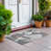 Machine Washable Indoor/Outdoor Claudian ACN1613 Taupe Rug