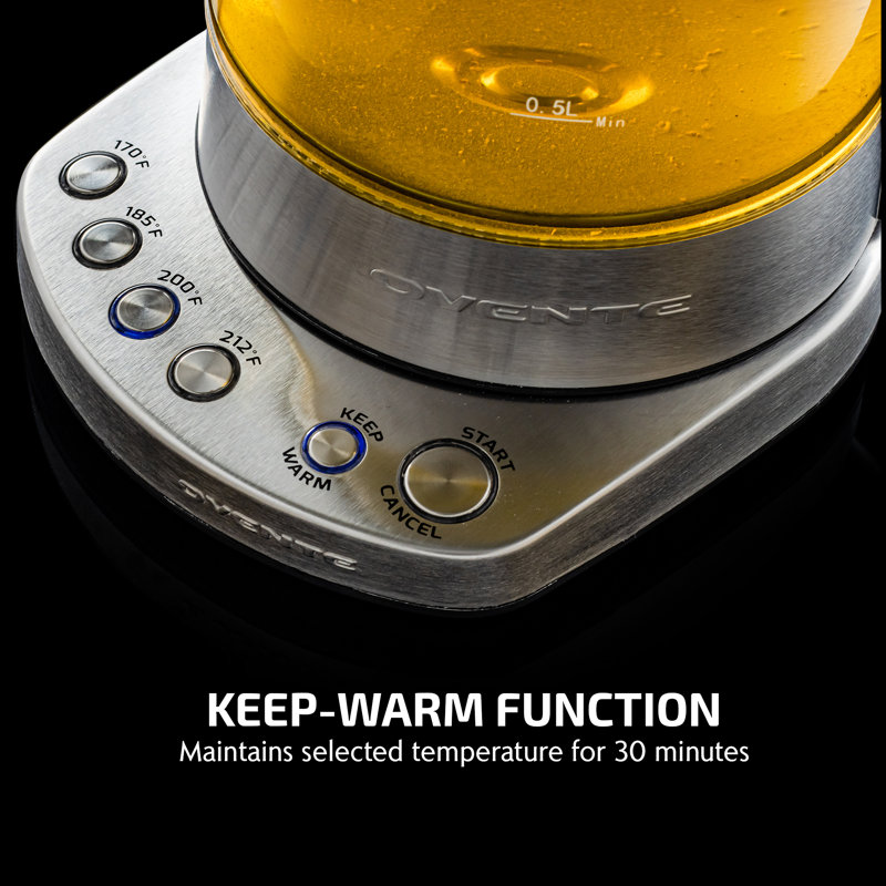 1.7L Silver Glass Electric Kettle with Temperature Control