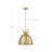 1 - Light Dome Pendant-88308948