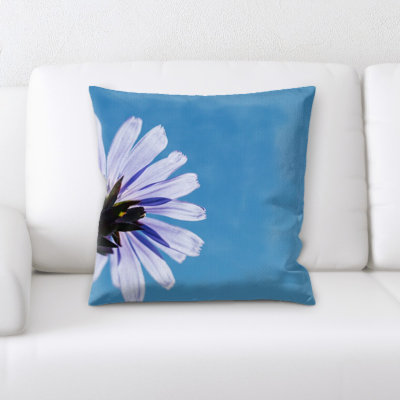 Coussin Yosemite