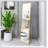 Wall-Mounted Alloy Frame Full Length Mirror