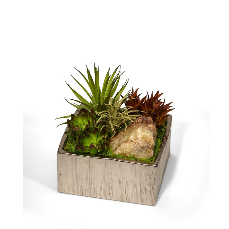 Plant in Metal Planter