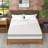 Ringgold 10" Foam and Spring Hybrid Mattress, Medium Firm Feel Durable Support Mattress Bed in a Box-907039482