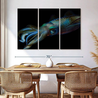 Bigfin Reef Squid