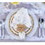 Reed Placemat-1225305831
