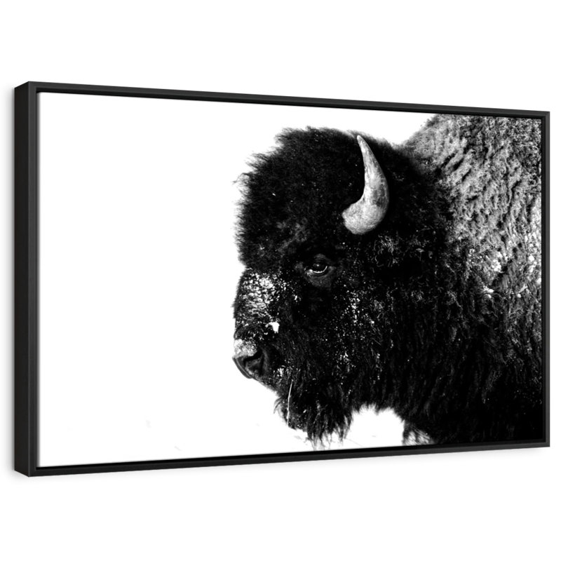 " Black Bison ", 19" H x 13" W
