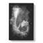Elephant Vol.7 - Wrapped Canvas-61881770