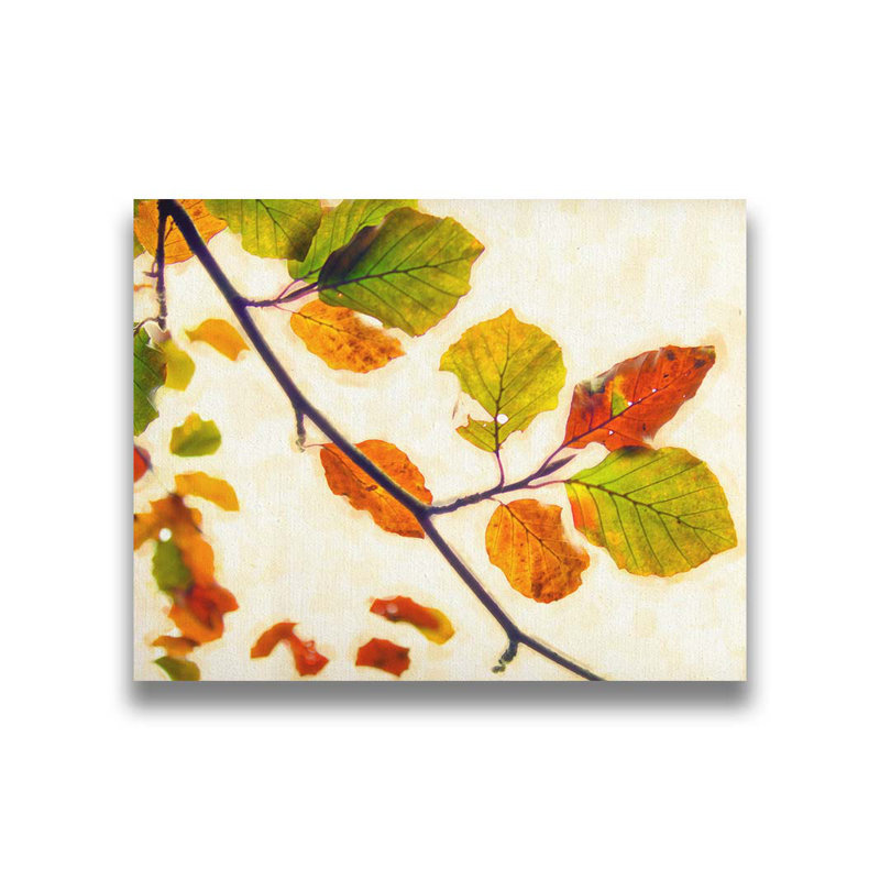 Gravure d'automne I par Hal Halli. Impression sur papier - Montée et encadrée, H 36 po x l 44 po