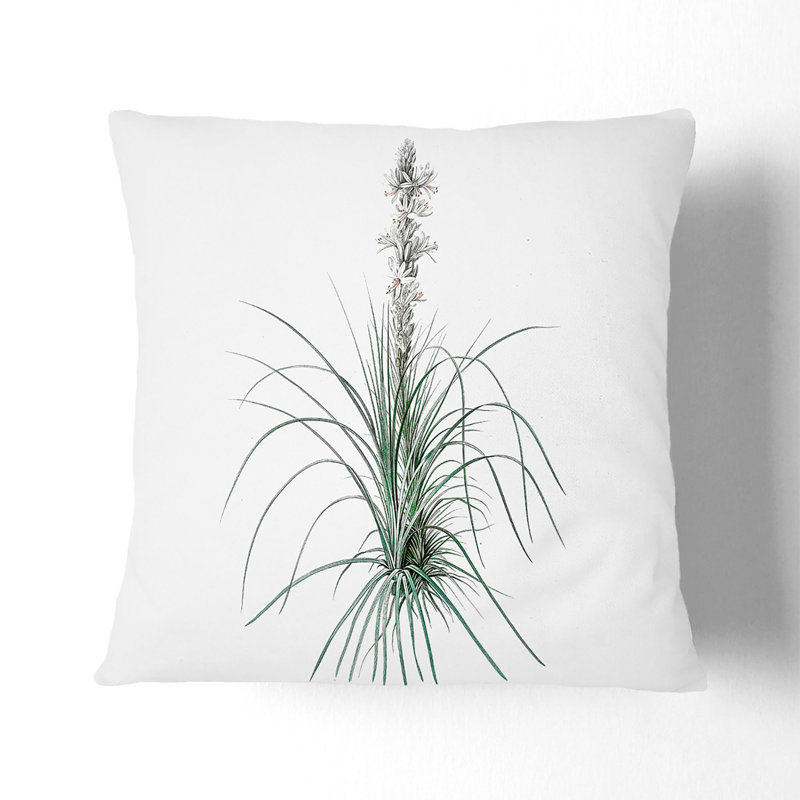 Floral Square Cushion, 55cm H x 55cm W x 20cm D