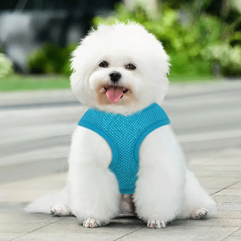 Harnais pour chien en maille, harnais anti-traction ajustable et rembourré avec anneau en D et boucle pour chiens, Bleu ciel