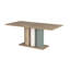 Alisyn Extendable Dining Table